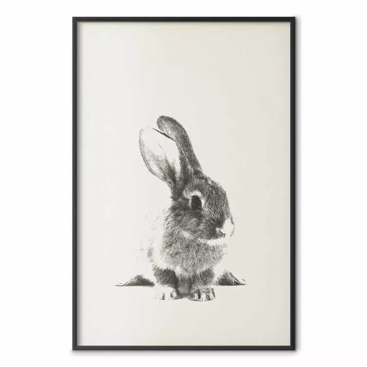 Flauschiger Hase - Grauer Hase auf einheitlichem Hintergrund