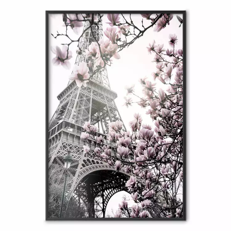 Magnolien in der Pariser Sonne