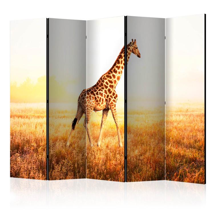 Paravent Giraffe - walk II [Room Dividers]