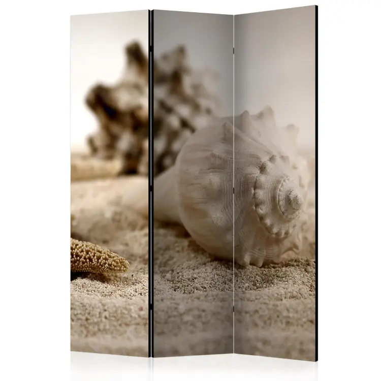 Sand und Muschel II - Sandstrand in Beige