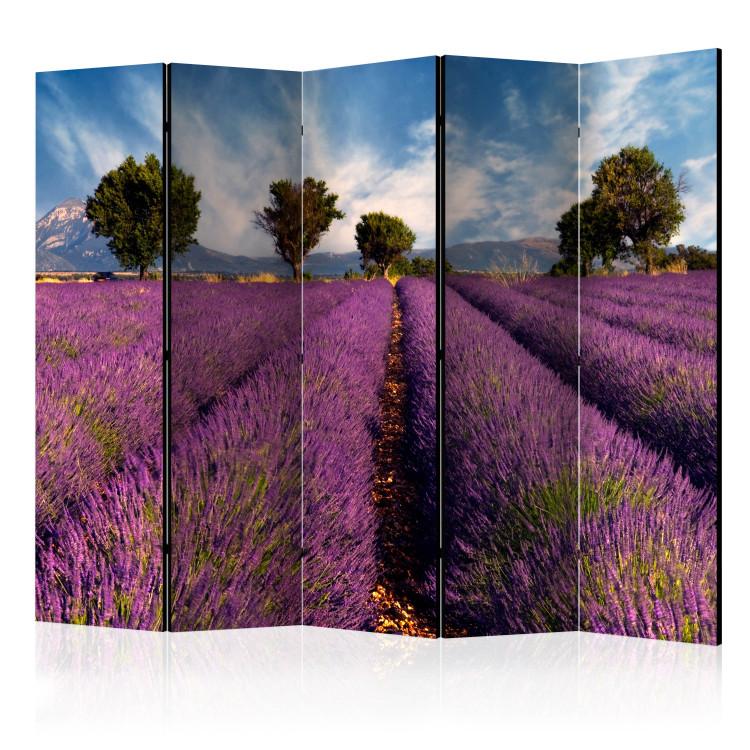 Paravent Lavender field in Provence, France II [Room Dividers]