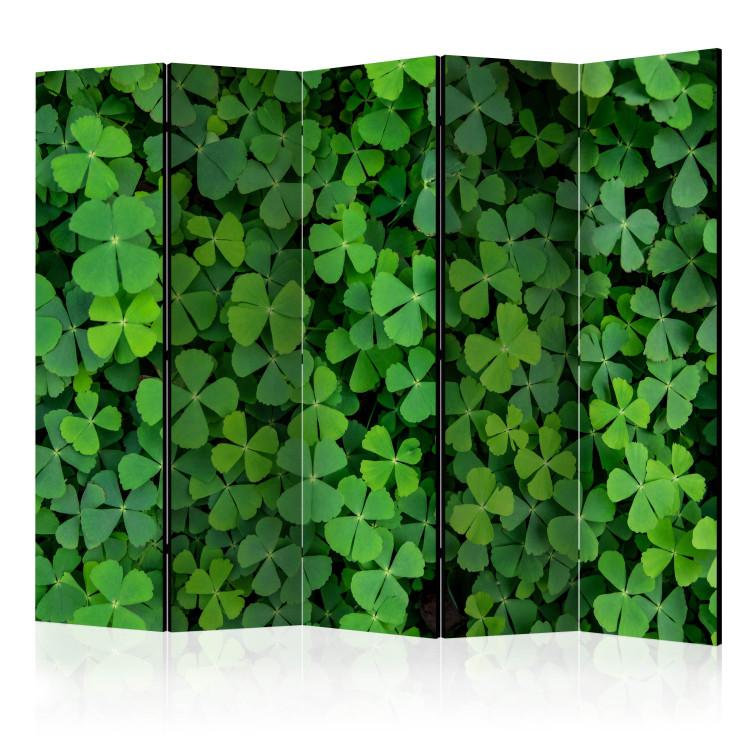 Paravent Green Clover II [Room Dividers]