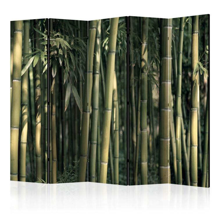 Paravent Bamboo Exotic II [Room Dividers]
