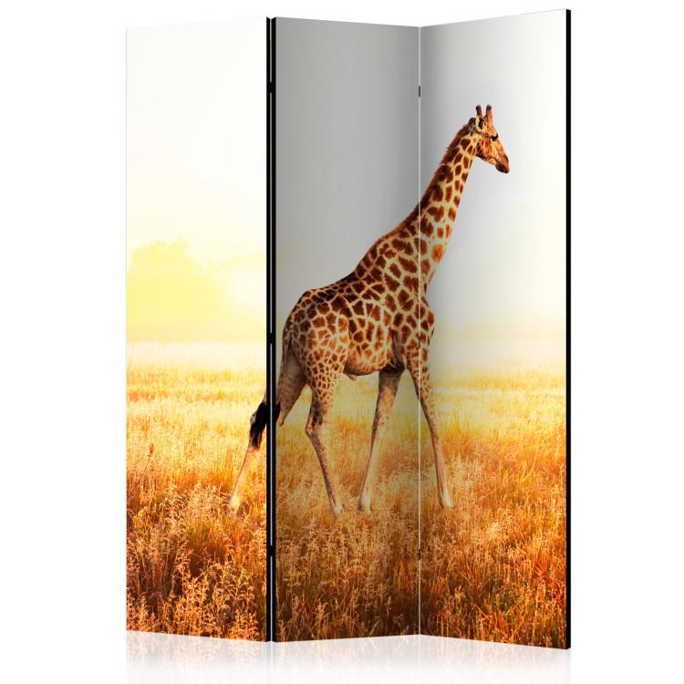 Paravent Giraffe - walk [Room Dividers]