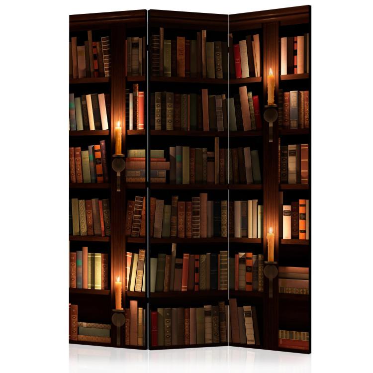 Paravent Bookshelves [Room Dividers]