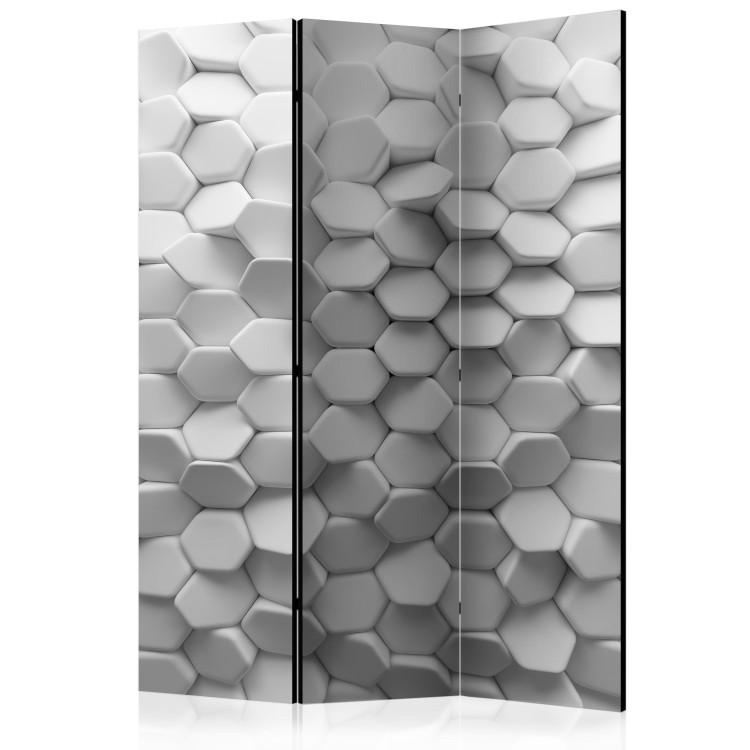 Paravent White Mystery [Room Dividers]