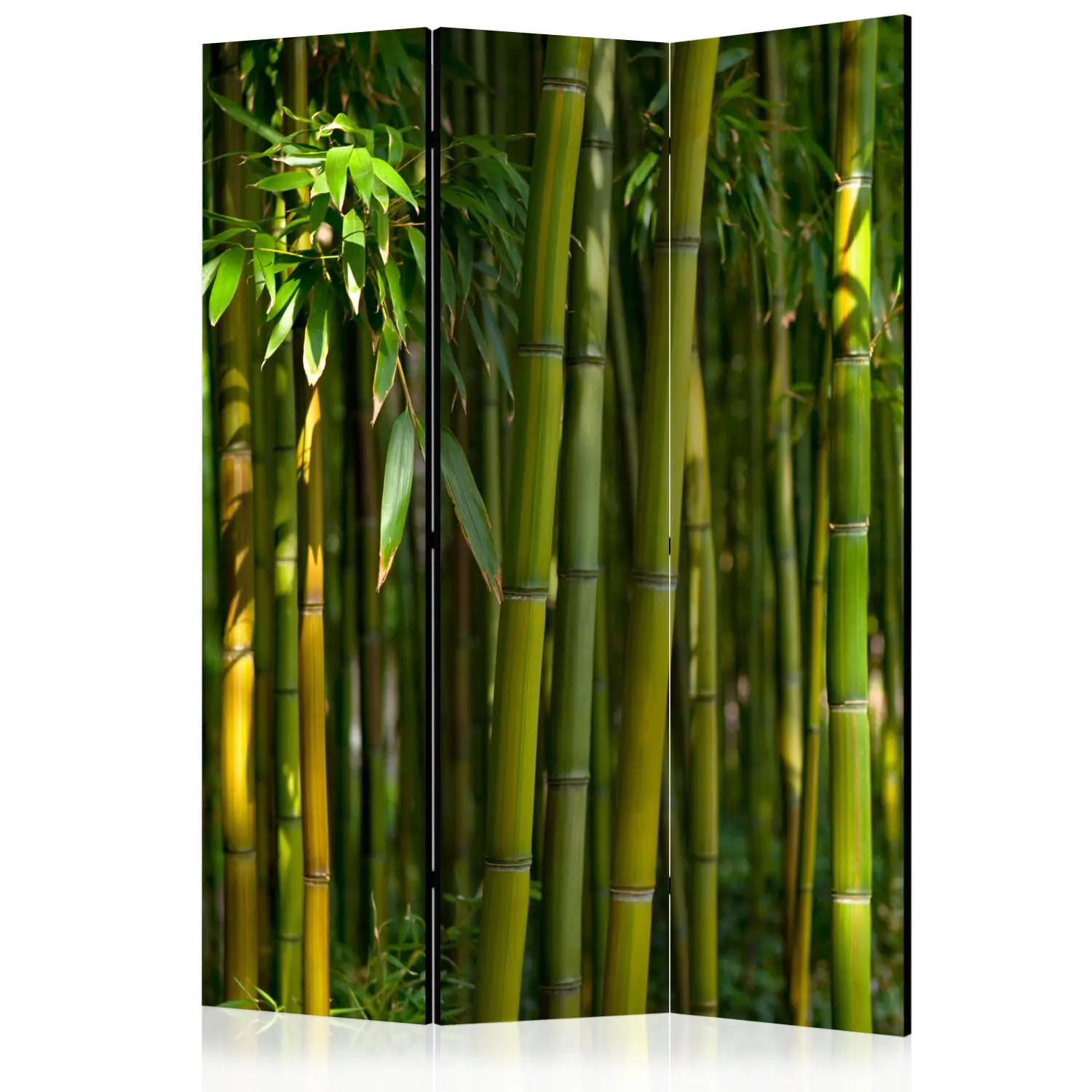 Paravent Orientalischer Garten - Grner Bambuswald - Paravents - bimago