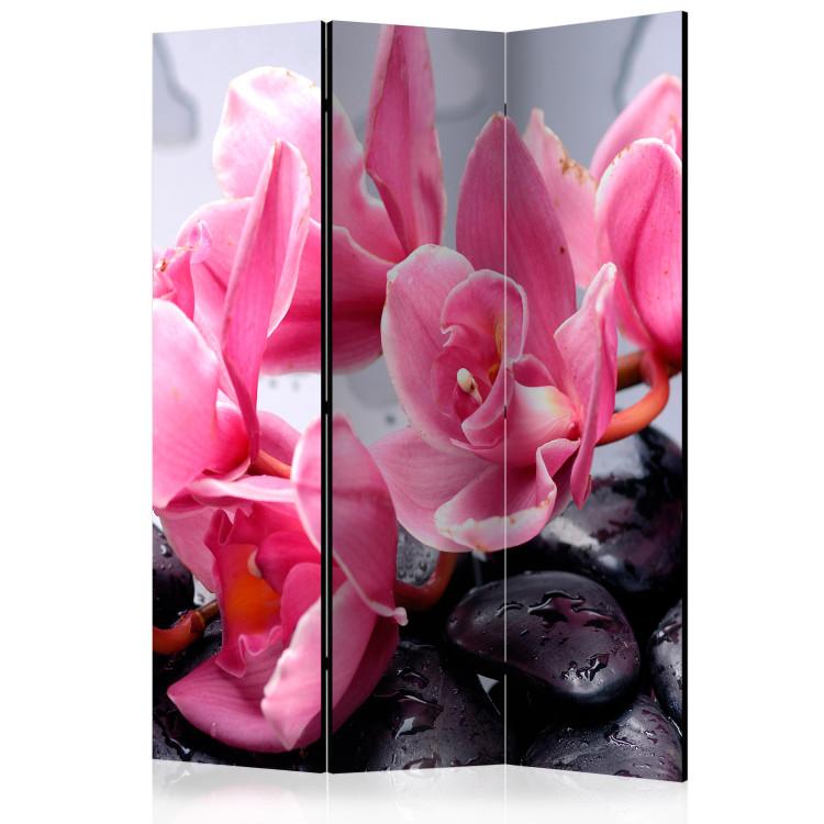 Paravent Orchid flowers with zen stones [Room Dividers]