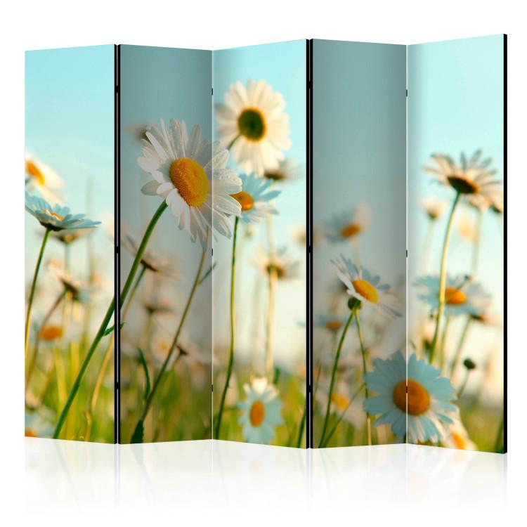 Paravent Daisies - spring meadow II [Room Dividers]