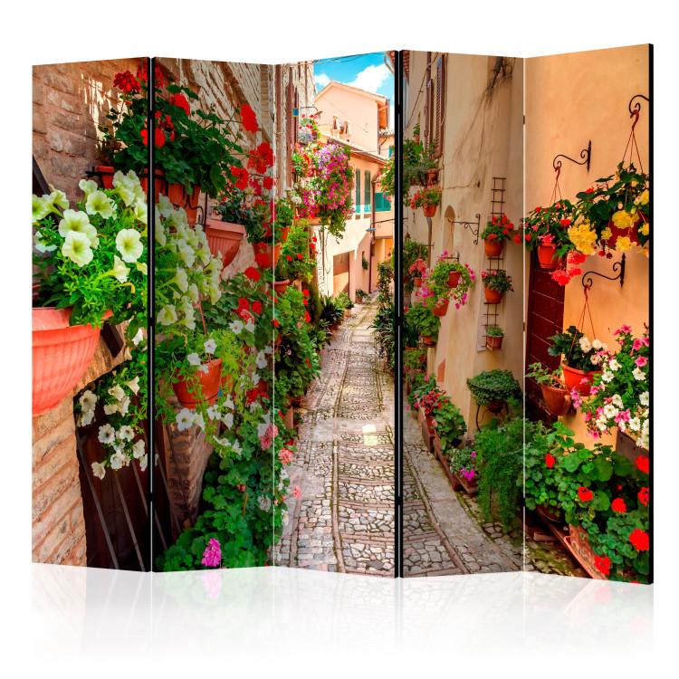 Paravent Alley in Umbria II [Room Dividers]