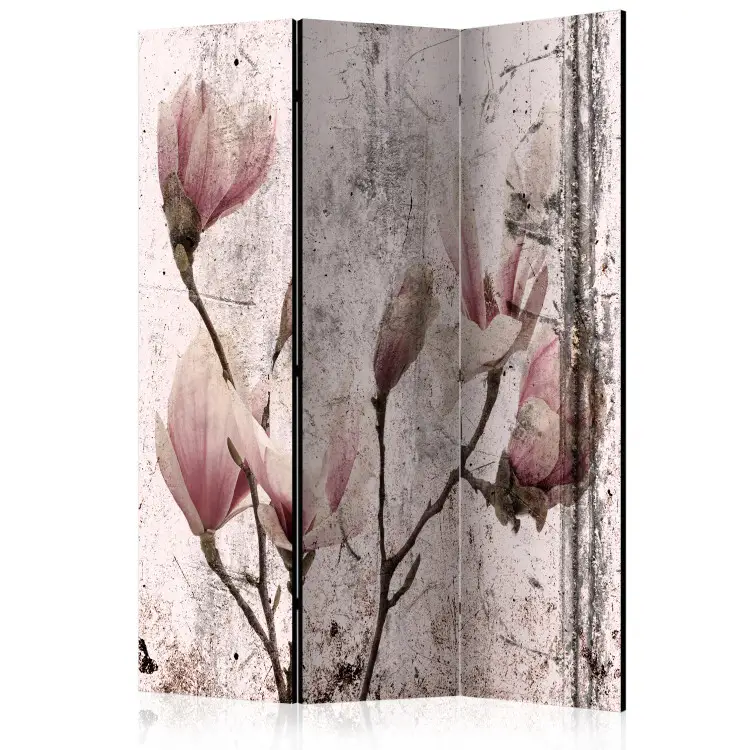 Magnolien-Vorhang - Rosa Blumen auf abgenutztem Hintergrund
