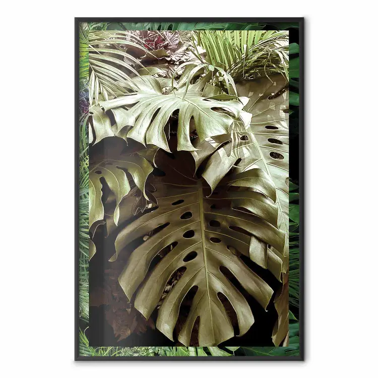 Monstera Poster, Poster Monstera, Monster Poster minimalistisch, Poster  Monsterablatt, Poster Monster plant, gold Monster Poster, Monster Poster  Pink, Monster Poster grn, Monstera Poster bunt | bimago