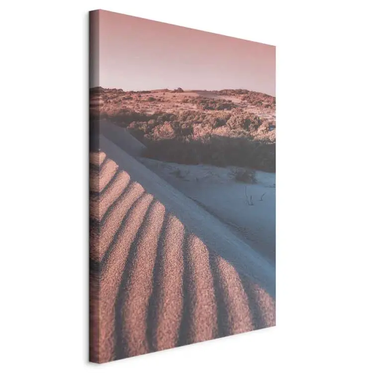 Rosa Sande Hoch - Landschaft der arabischen Wüste