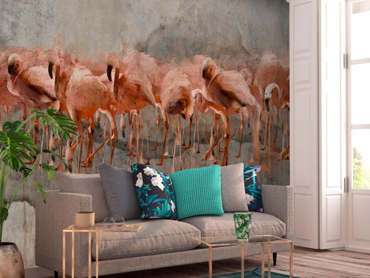 Fototapete Exotische Vögel - Rosa Flamingos mit Schatten auf Betonhintergrund