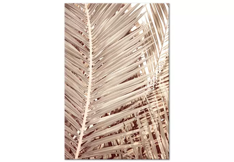 Getrocknete Palme - trockene Palmblätter auf einem weißen Hintergrund