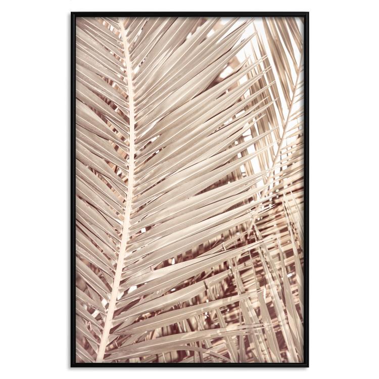 Poster Beige Palm Tree [Poster]