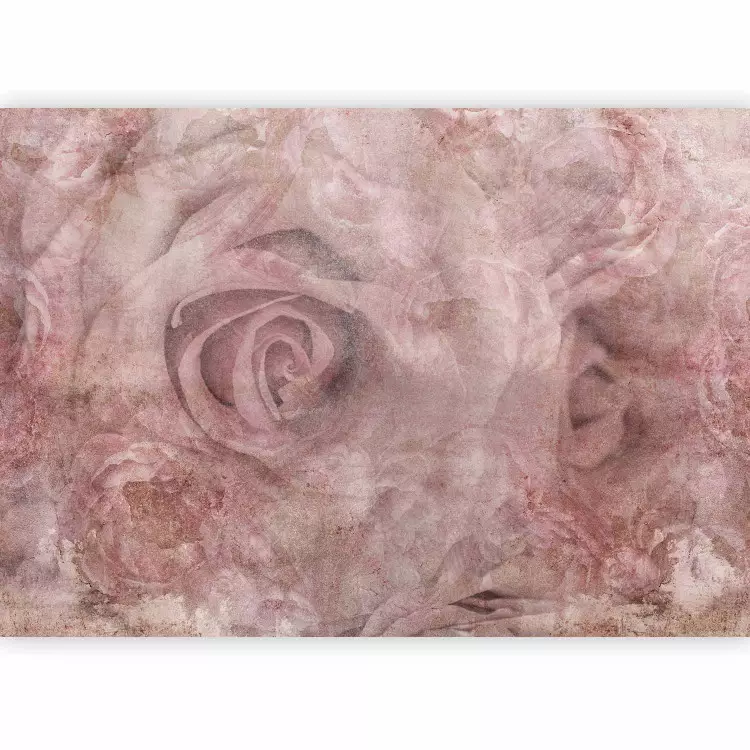 Rosenorganza - abstrakte, sich durchdringende Rosen und Pfingstrosen hinter einem nebligen Schleier in Puderrosatönen