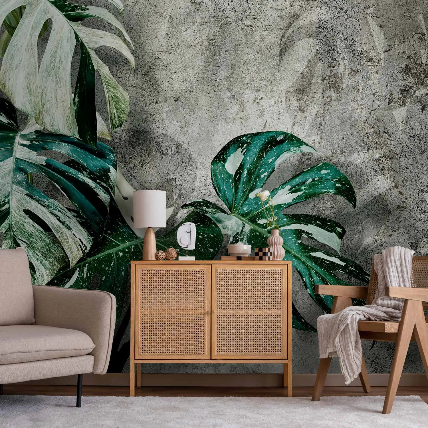 house plants Monstera Deliciosa: Popular Live Plant - (6” Pot) – Easy Plant Care - Low  Maintenance House Plant for Home