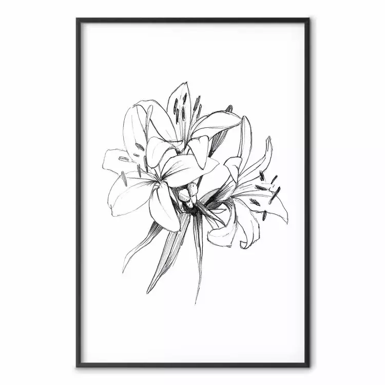 Gezeichnete Blumen - Schwarze Blumen auf weißem Hintergrund