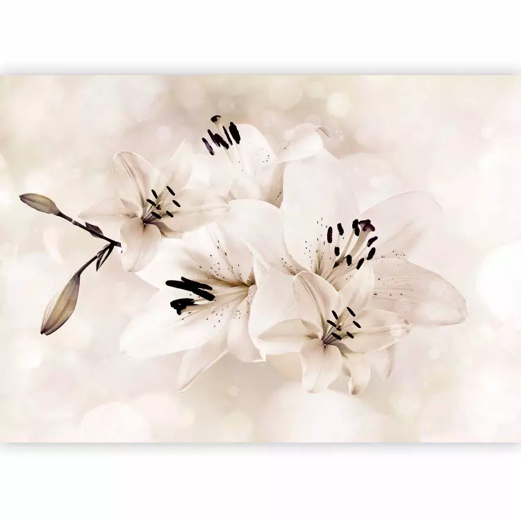 Magische Lilien - Glamouröses Blumenmotiv auf hellem Hintergrund