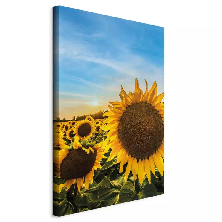 Blumen des Friedens (1-teilig) Vertikal - Sonnenblumen auf weitem Feld