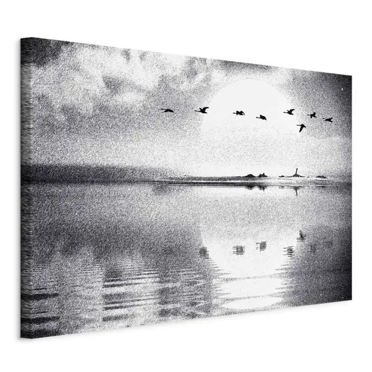 Vogelzug über dem See Breit - Schwarz-weiße Landschaft
