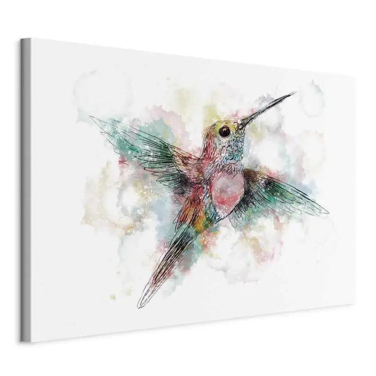 Bunter Kolibri Breit - Bunter Vogel für Kinder