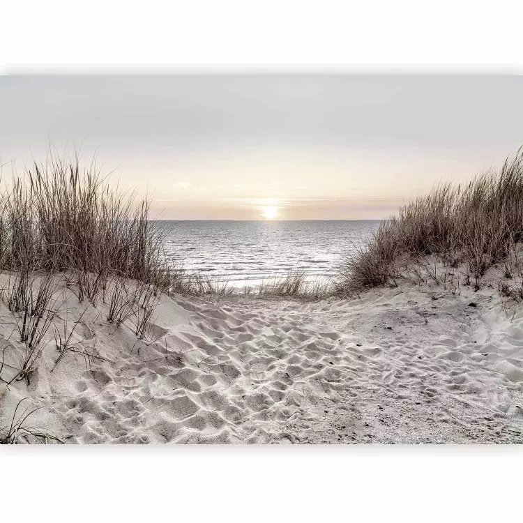 Strand der Träume - Landschaft mit Meer und Strand bei Sonnenuntergang