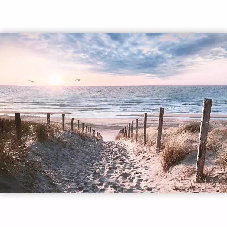 Windiger Sand - Landschaft mit Meer und Strand in warmen Farben