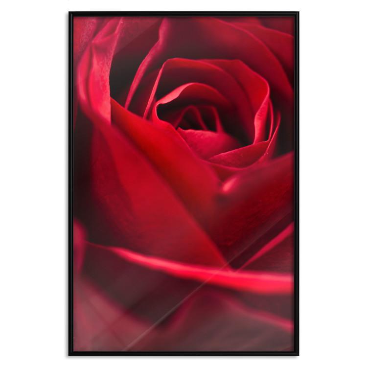 Poster Delicate Flower - Close-up Photo of Red Rose Petals