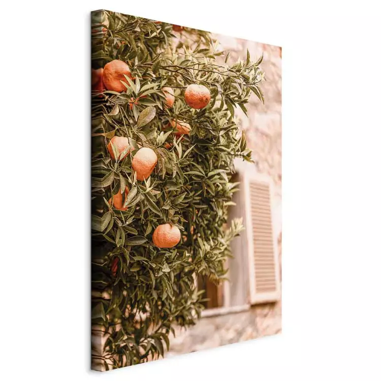 Städtische Früchte (1-teilig) - Mandarinenbaum vor einem Gebäude