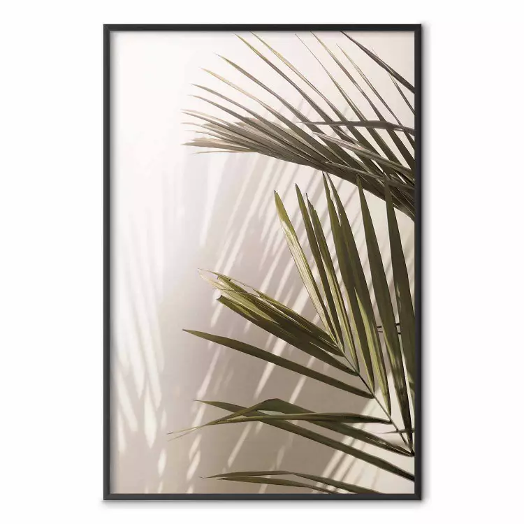 Palm Leaves - Sunny View With a Peaceful Play of Shade and Light