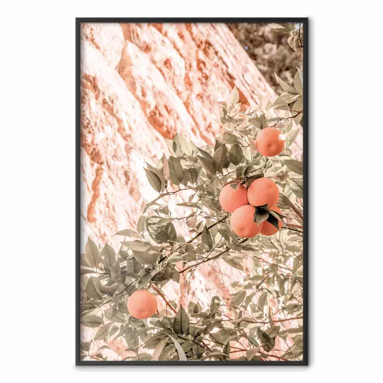 Young Clementines - Branch of a Mandarin Tree With Fruits