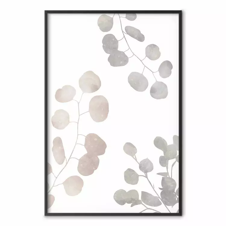 Eucalyptus Plant Composition - Leaves and Twigs on a White Background