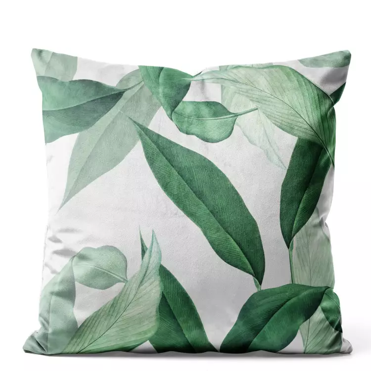 Lightness of leaves - a subtle plant composition on a white background