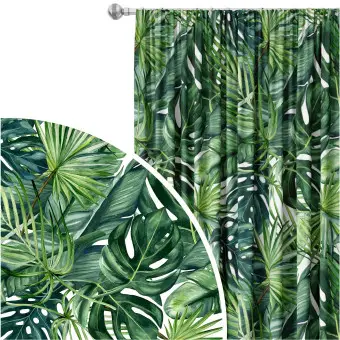 große monstera deliciosa Monstera Deliciosa Plant for Sale | Swiss Cheese Plant