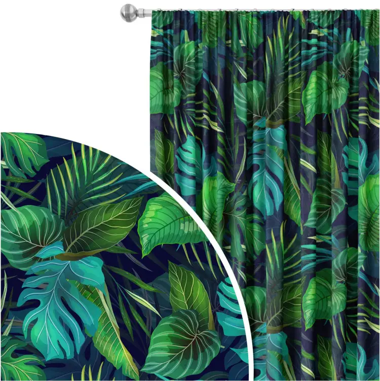 Variety of Philodendrons - an exotic leaves in various shades of green