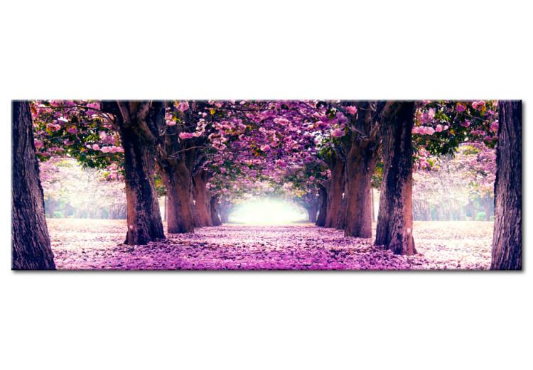 Wandbild XXL Purple Spring III [Large Format]