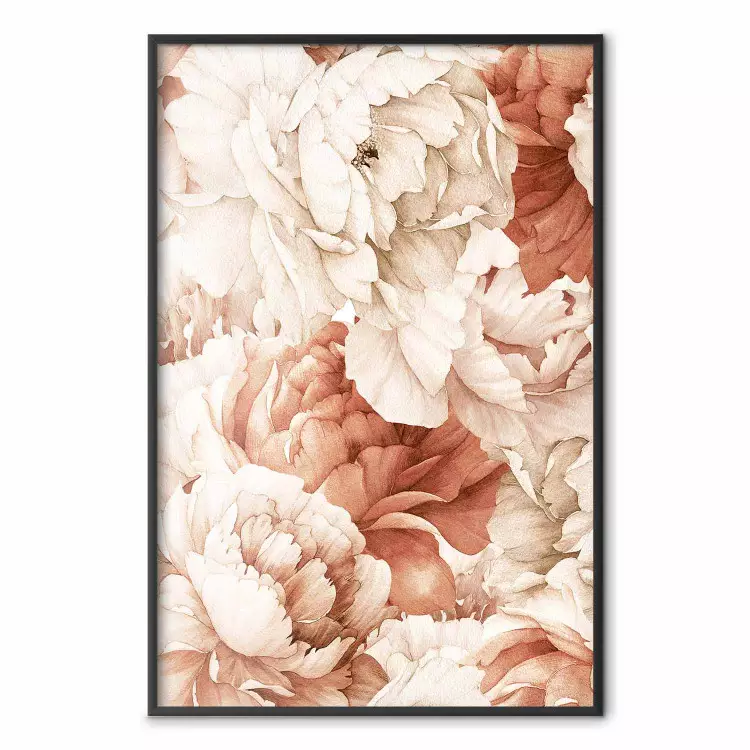 Peonies - Decorative Flowers Painted With Watercolor in Bright Colors