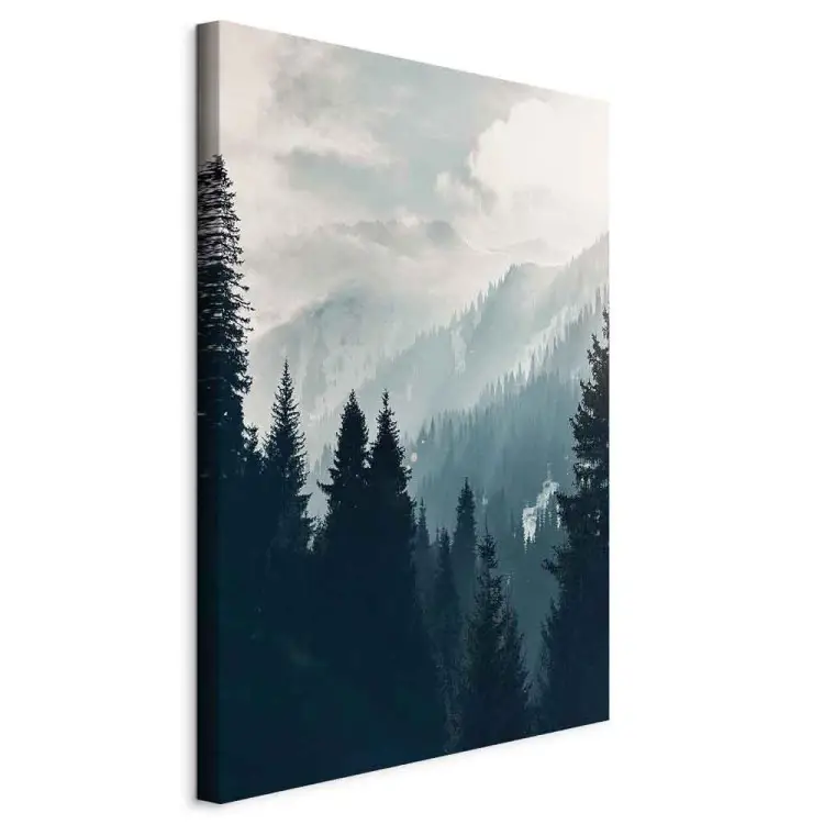 Landschaft - verschneite mit Bäumen bedeckte Berge am sonnigen Tag