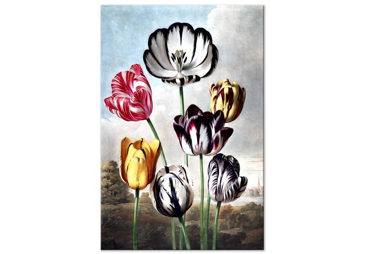 | abstrakte Vase Bilder, Leinwand, Bilder auf Tulpen Tulpen Bilder Bilder Bilder in Bild, Bilder, Tulpen Tulpen Bilder Tulpen, Tulpen gemalt, mit Tulpenstrauß, Bilder, Bilder tulpen bimago Tulpenbild, Tulpenstrauß Tulpen,
