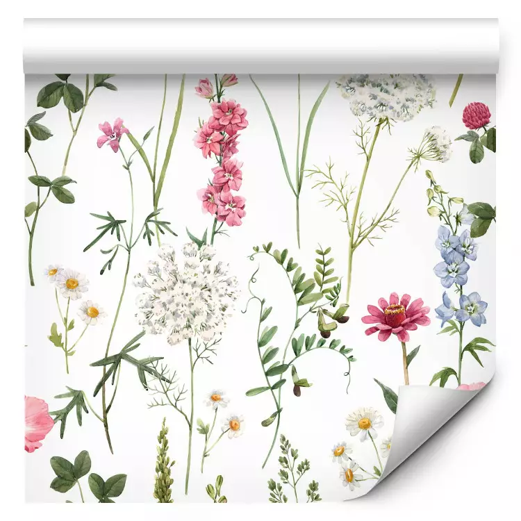 Multicolored Meadow - Watercolor Colorful Flowers on a White Background