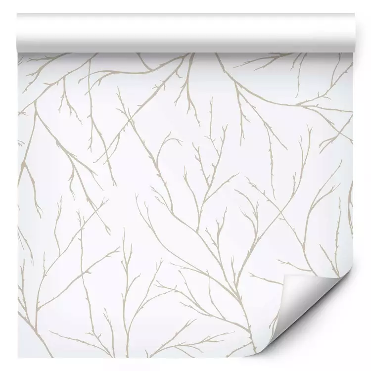 Minimalism - Light, Beige Twigs Intertwined With Each Other on a White Background