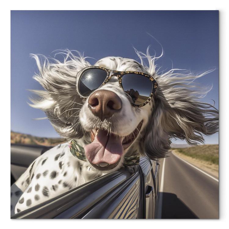 Leinwandbild AI English Setter Dog - Animal With Glasses Riding in a Car - Square