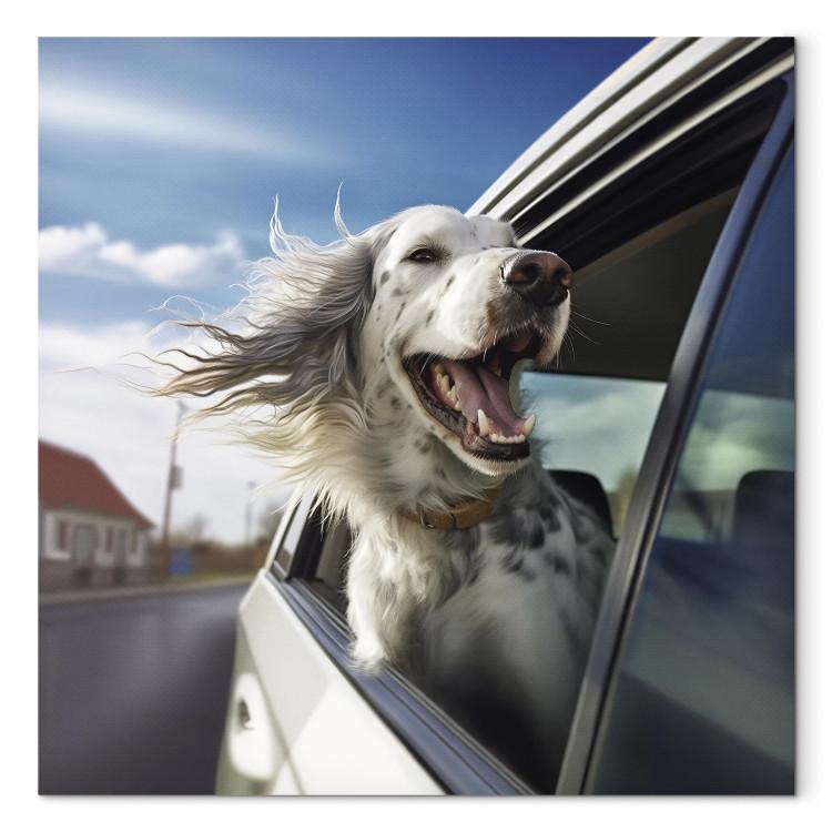 Leinwandbild AI Dog English Setter - Animal Catching Air Rush While Traveling by Car - Square
