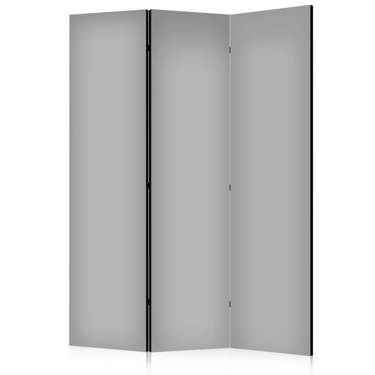 Paravent Solid Grey [Room Dividers]