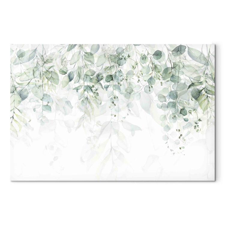 Leinwandbild Delicate Touch of Nature - Plants in Pastel Delicate Greens on a White Background
