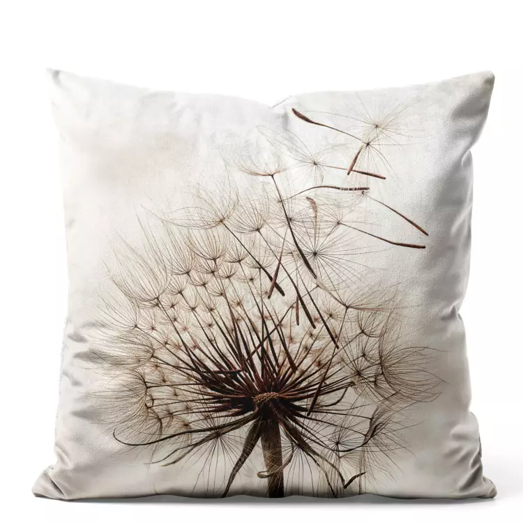 The Fleetingness of Nature - A Blooming Dandelion on a Beige Background