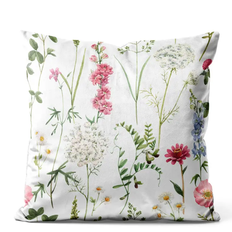 Plants From the Meadow - Colorful Composition With Unpretentious Flora