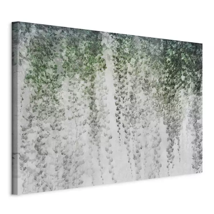 Pergola der Stille - Komposition mit dichtem Efeu an der Wand
